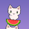 play Cat Cat Watermelon game